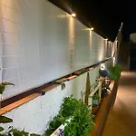 L'oasi Di *