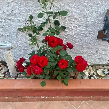 L'oasi Di Appartamento Chia