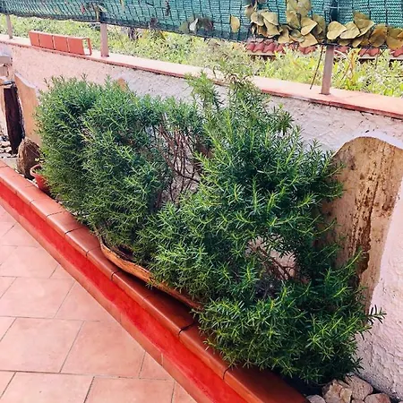 L'oasi Di Отель типа 