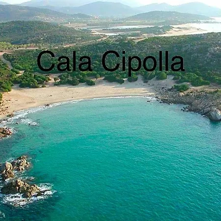 L'oasi Di *