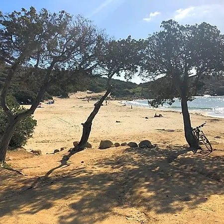 L'oasi Di *